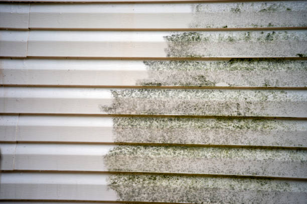 Best Yard Waste Removal  in Mount Kisco, NY