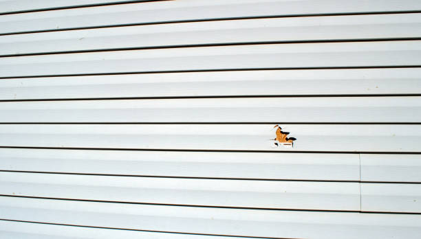 Best Shed Removal  in Mount Kisco, NY