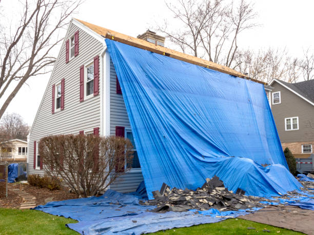 Best Dumpster Rental Services  in Mount Kisco, NY